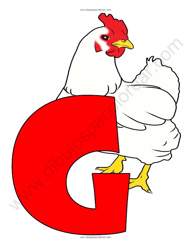 Letra G Gallina abecedario dibujo a color y para colorear